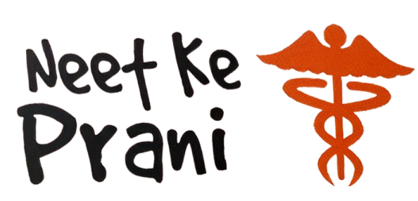 neetkeprani.com